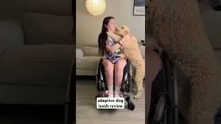how I can walk my dog as a paraplegic 🐕