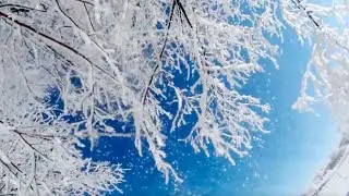 Winter phenomenon coats Chinese city in picturesque layer of ice