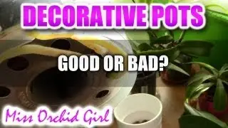 Decorative pots for Orchids - good or bad?