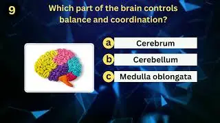 Quiz-6 : general knowledge quiz, trivia quiz  test your knowledge,