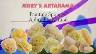 Aphrodite Natural Sea Sponges - Product Demo