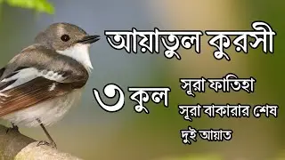 ৩ কুল, আয়াতুল কুরসী, সূরা ফাতিহা ও সূরা বাকারার শেষ দুই আয়াত | Reciter By Ayoub Mosab