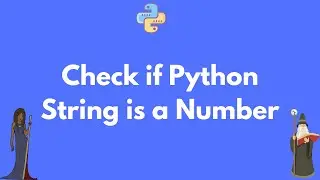 How to check if a Python string is a number - float or int