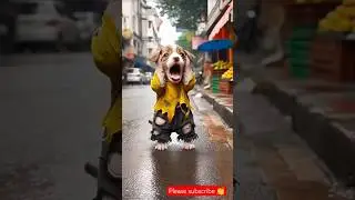 The Poor Puppy&rsquo;s Clever Way to Make Money💰 || #shorts #puppy #puppystory #cuteanimals #cutedog
