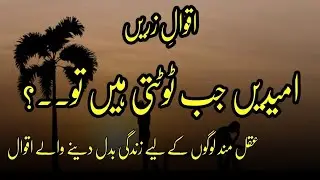 Urdu Quotes And Urdu Shayari | 99 Beautiful Names of Almighty Allah | Urdu Aqwal e Zareen