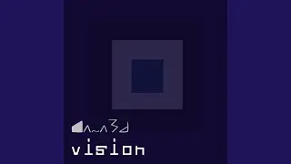 vision