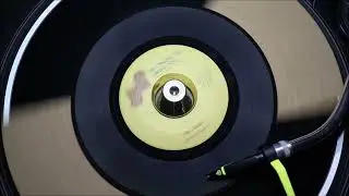 Na Allen &lrm;&ndash; I Was Telling Her About You   Janus Records &lrm;&ndash; J 197