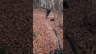 Где же трамплин? 😂🤟 Трейл Эльдорадо #mtblife #shorts #mtb #view #rider #alpine #fun #goodvibes