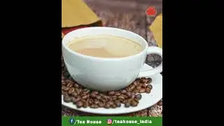 If You Want Best Tea Franchise? | Tea House #teahouse #franchise #shorts