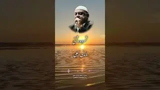 گنجینه پنهان آبطویل | ماندنی بجلی در شروه ۷۱ | بوشهر#فایز #شروه #استان_بوشهر #خورموج #دشتی