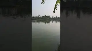 আমাদের মাছ বিক্রি হচ্ছে, দেখুন মাছের বয়স কেমন, সাইজ কেমন এবং কেমন দামে বিক্রি করা হচ্ছে