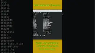 Terminal Linux Tab Completion