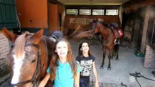 CORRIDA - QUEM SELA MAIS RÁPIDO?!