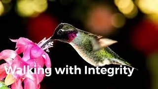 Walking with Integrity