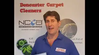 Wool carpet cleaning in Doncaster