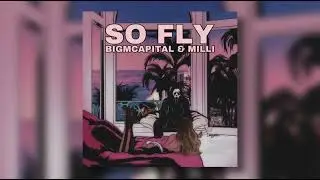 BIGMCAPITAL & Milli - So Fly