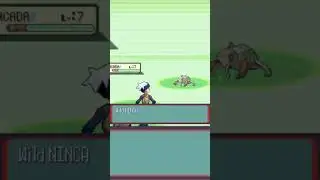 Pokemon Sapphire Jan 11