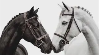 Rating roblox equestrian games (VOICE REVEAL)