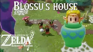 The Legend of Zelda: Echoes of Wisdom. BLOSSU'S HOUSE RIFT AND ESCAPING FROM DEKU PRISON WALKTHROUGH