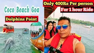 Coco Beach Dolphin Spot Trip In Goa | Dolphin Ride 400 Rs | Dolphin Beach Goa