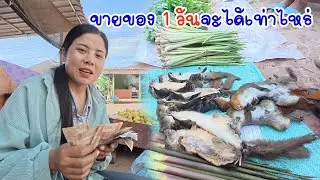 นั่งขายของ 1 วันจะได้เท่าเงินเท่าไหร่?#ทีมงานบ้านป่า