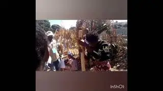 Dionaldo trap