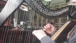 Planxty drew - celtic harp