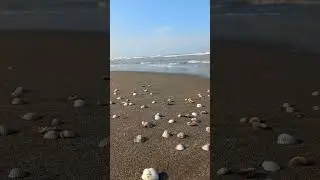 #relaxing #nature #calm #meditationsounds #meditation #sea #waves