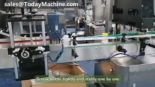 Automatic Popcorn Potato Chips Banana Chips Granule Snack Bottle Filling Line
