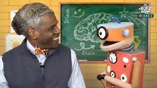Brain Nugget - Segment One: The Hippocampus
