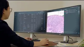 Unified pathology with Techcyte Fusion&trade;