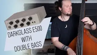 Using Darkglass e500 with double bass