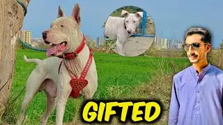Apna Dog Wapas Kar Diya 😢🐶 | Emotional Day | Female Dog Gift 🎁