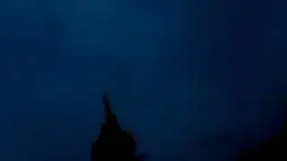 &Ouml;rdek Avı Sabah Beki (Kasım 2019)