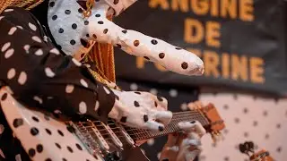 Angine de Poitrine - Sherpa (Live on KEXP)