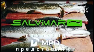 Фестиваль подводной охоты &laquo;подводный Саратов 2021&raquo; #Подводнаяохота #Salvimar #MPD #Cаратов