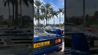 Discover the Rare 1 of 1 Ferrari F40 BLU at Cavallino Classic!