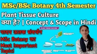 पादप ऊतक संवर्धन से आप क्या समझते हैं | What Is Plant Tissue Culture ? Discuss its concept and scope