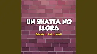 Un Shatta No Llora