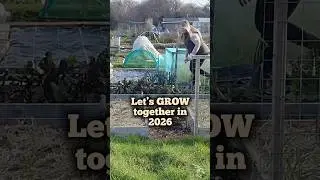 Let&rsquo;s GROW together in 2026 | Grow your own food | Allotment UK