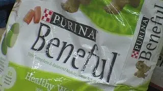 Expert says Purina Beneful dog food 'won't kill your pet'