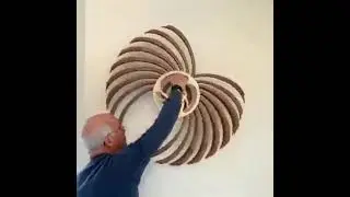 Fun With Physics Optical illusion #shorts