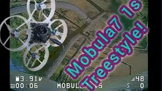 Mobula7 1s, Treestyle!