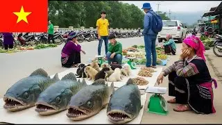 Vietnam's Rural Life &ndash; Simple, Beautiful, Unforgettable | Vietnam travel