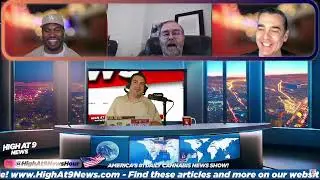 #149 - Illinois Supreme Court Rules on Cannabis Odor (Clip from High at 9)