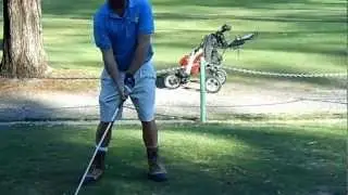 Pro Caliber Golf Ball Shot