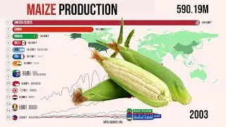 🎬 Largest Maize Producing Countries