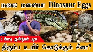 🦖மலை மலையாய் கிடைத்த டைனோசர் முட்டைகள்! 🥚| திரும்பவும் உயிர் கொடுக்கும் China? | Dinosaur Eggs |