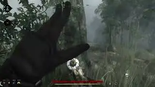 how to 1v2 in | Hunt Showdown 1896