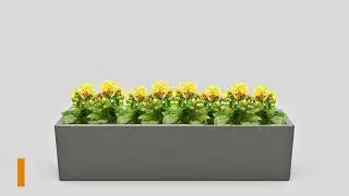 Ideas for planting - Flamula Metal Planters.